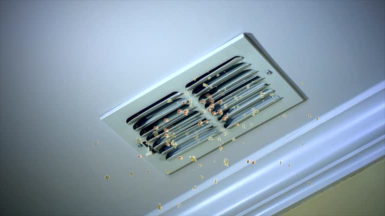 Best Home Air Vent Cleaning  in Shavertown, PA