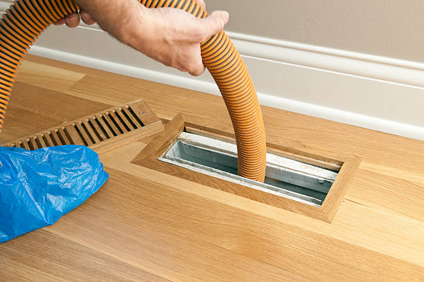 Best Affordable Duct Cleaning Services  in Shavertown, PA