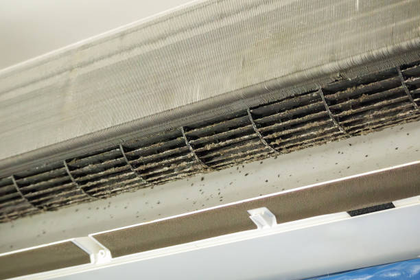 Best HVAC Air Duct Cleaning  in Shavertown, PA